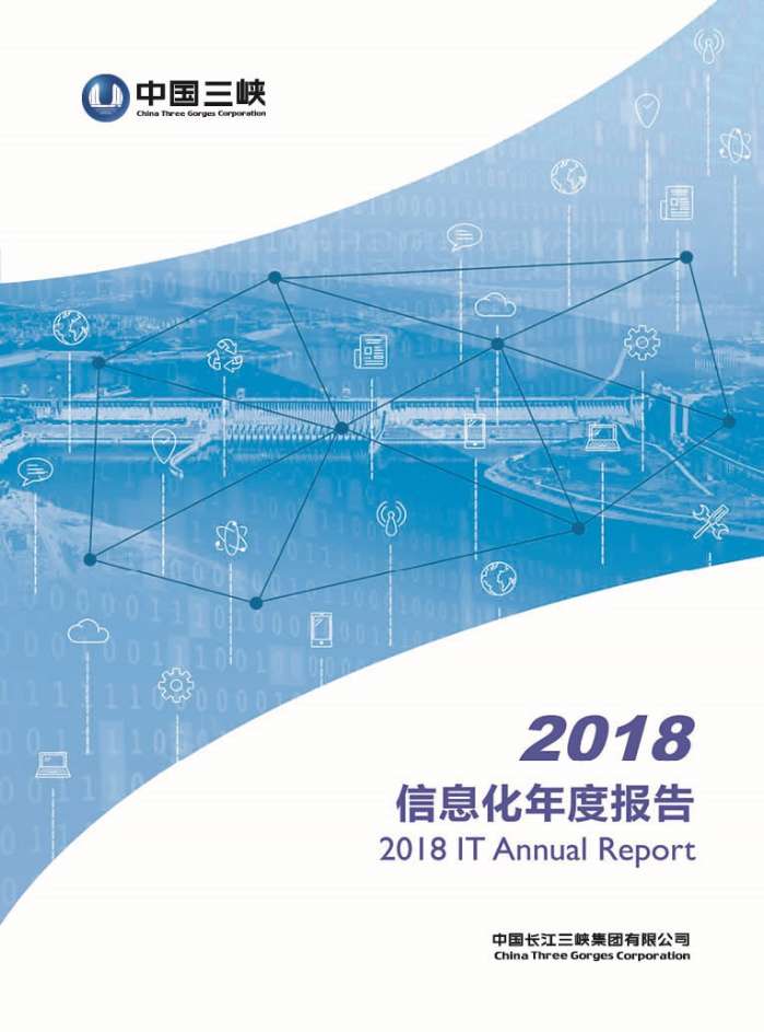 集团公司IT年度报告2018